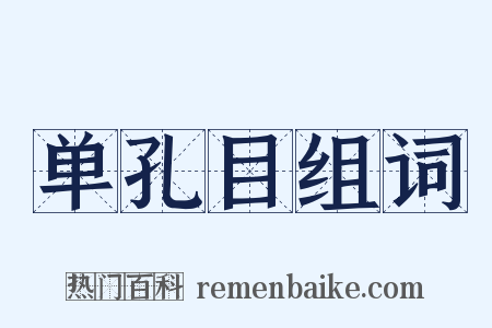 单孔目组词是什么意思的图片